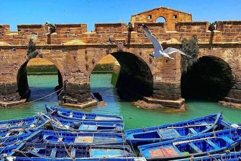 Essaouira Porte