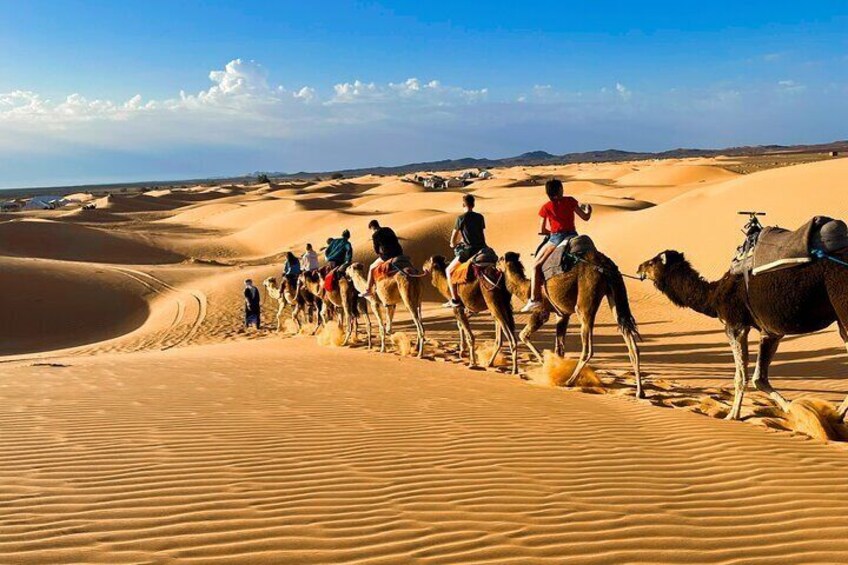 Camel excursion