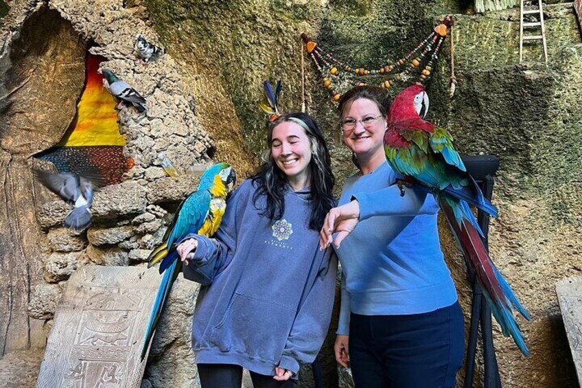 Tangier day trip :Old Medina&kasbah , caves & camel ride included