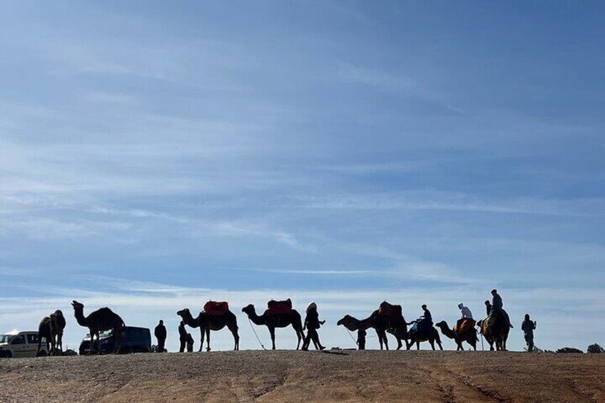 Tangier day trip :Old Medina&kasbah , caves & camel ride included