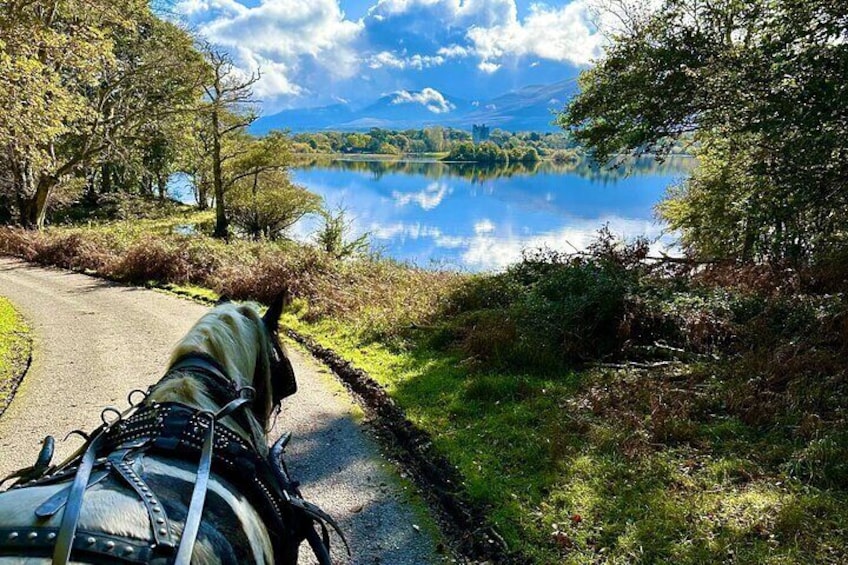 Killarney National Park Tour 