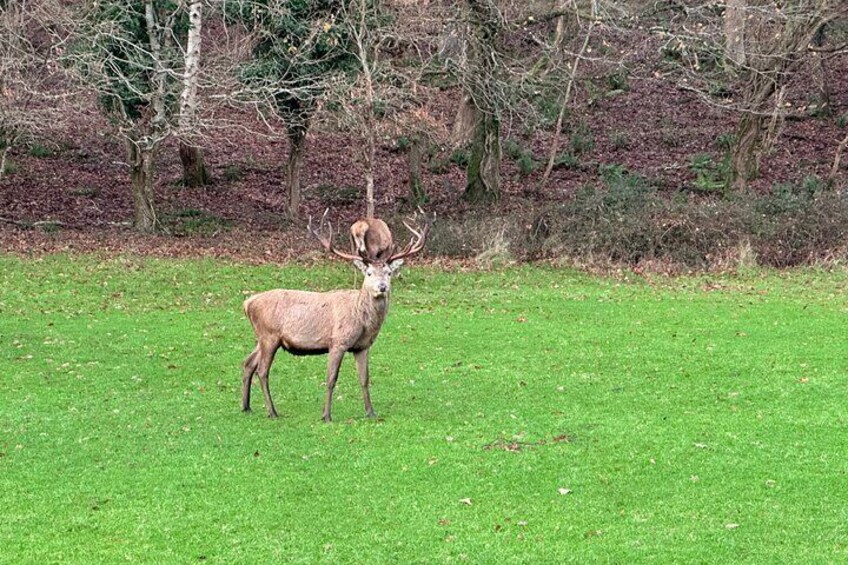 Killarney National Park Tour