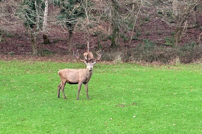 Killarney National Park Tour