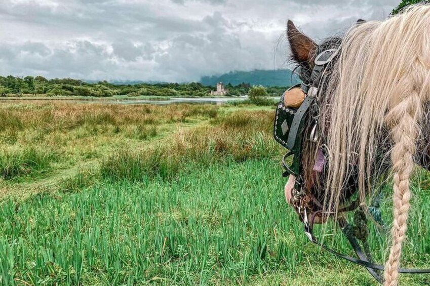 Killarney National Park Tour