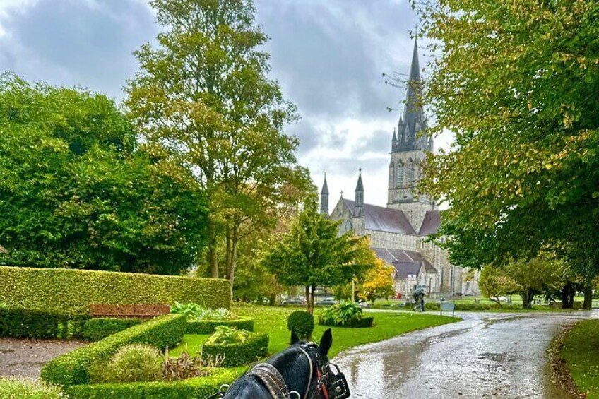 Killarney National Park Tour 