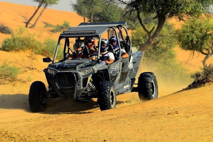 Ras Al Khaimah: Afternoon Desert Safari and BBQ Dinner