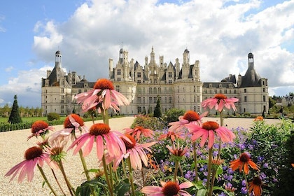Day tour of Chateaux of Chambord, Blois, Cheverny & wine tasting at local w...
