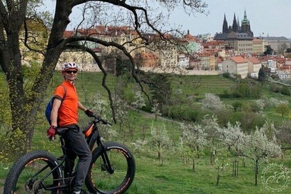 FAT TIRE E-BIKE GREAT TOUR - 河流、公園和全景之旅