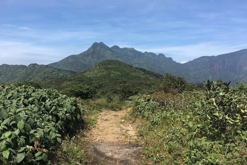 Knuckles mountain range