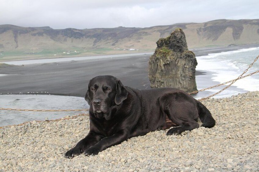 Private Day Trip in Icelandic South Coast from Reykjavik