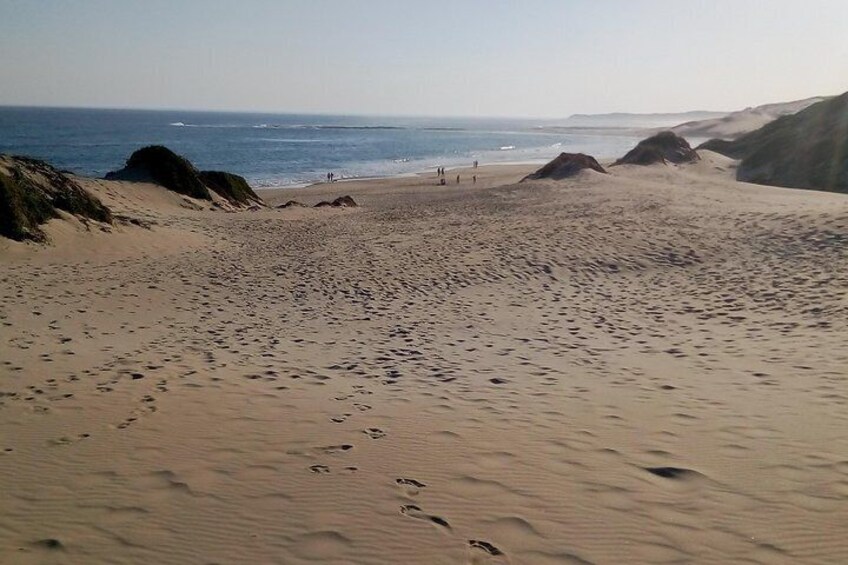 Guided Marine Walk: - Sardinia Bay (Marine Protected Area) - 3 hours