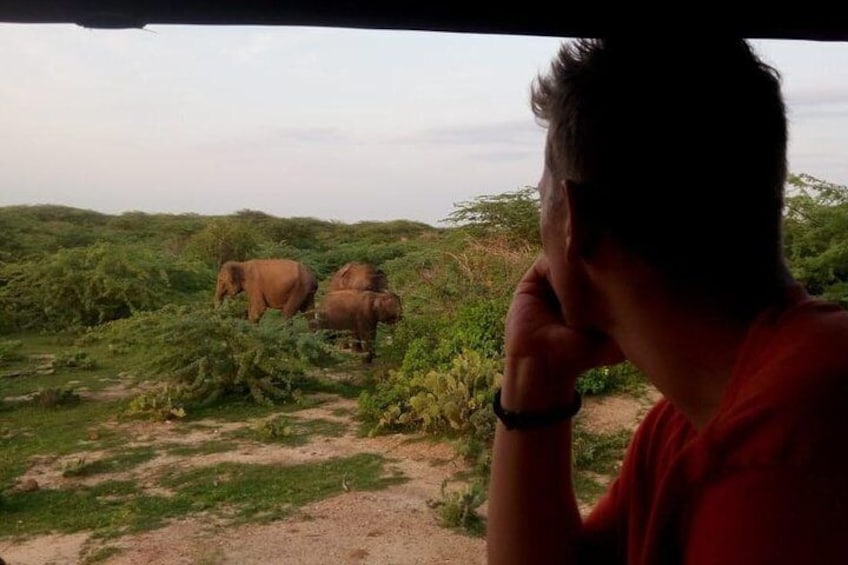Evening Private Safari at Bundala Park by Yala La Safari Tours