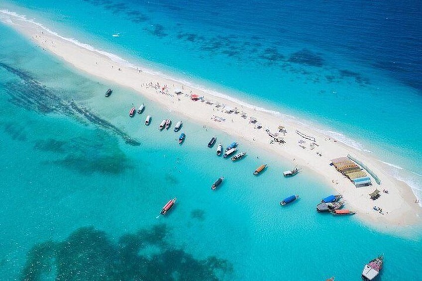 Prison Island Zanzibar Trip