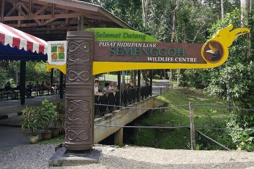 Wonder Orangutan Sarawak Semenggoh Wildlife Centre Tour 