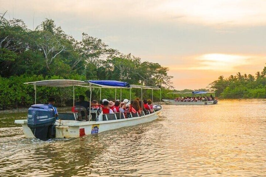 Klias River Safari from Kota Kinabalu