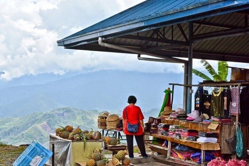Poring Hot Springs Tour from Kota Kinabalu including Treetop Canopy Walk