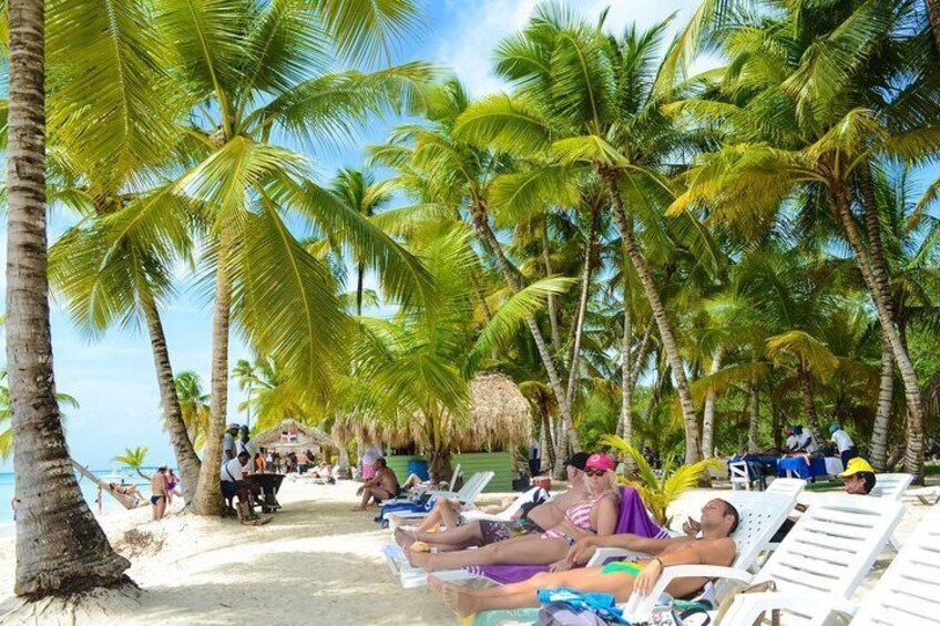 Saona Island Tour