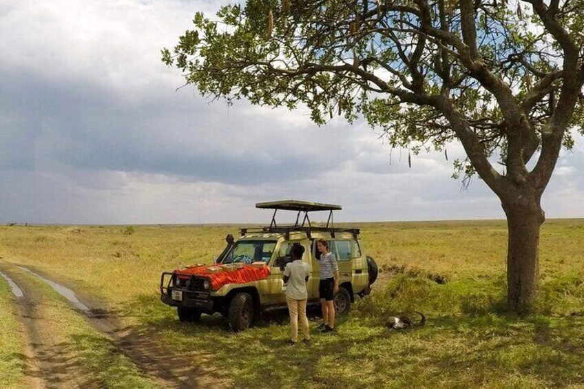 Serengeti National Park