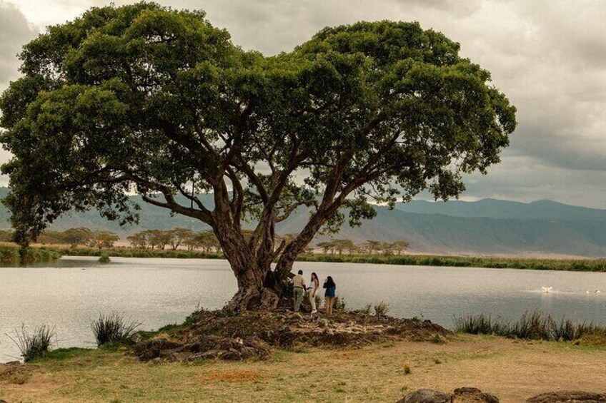 Ngorongoro crater