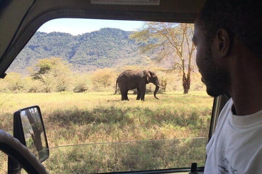 Ngorongoro Crater 
