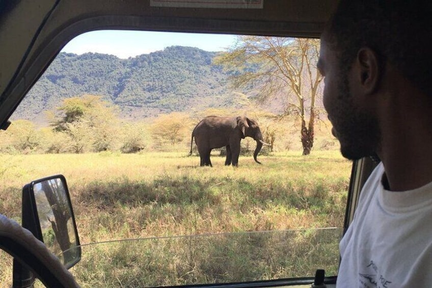 Ngorongoro Crater