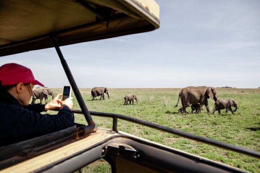 Game drive