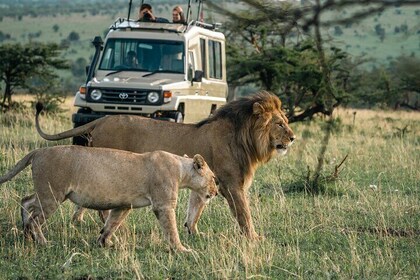 4 Days Tanzania Budget Safari