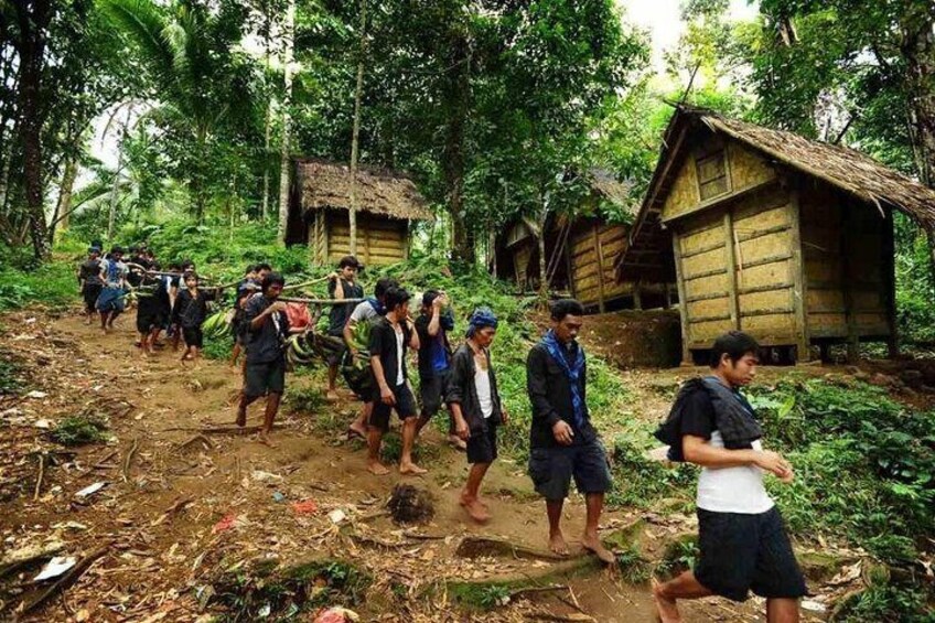 Private tour with lunch: Jakarta to Baduy tribal