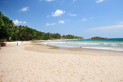 Private 6-Day-Highlights-Tour Around Sri Lanka