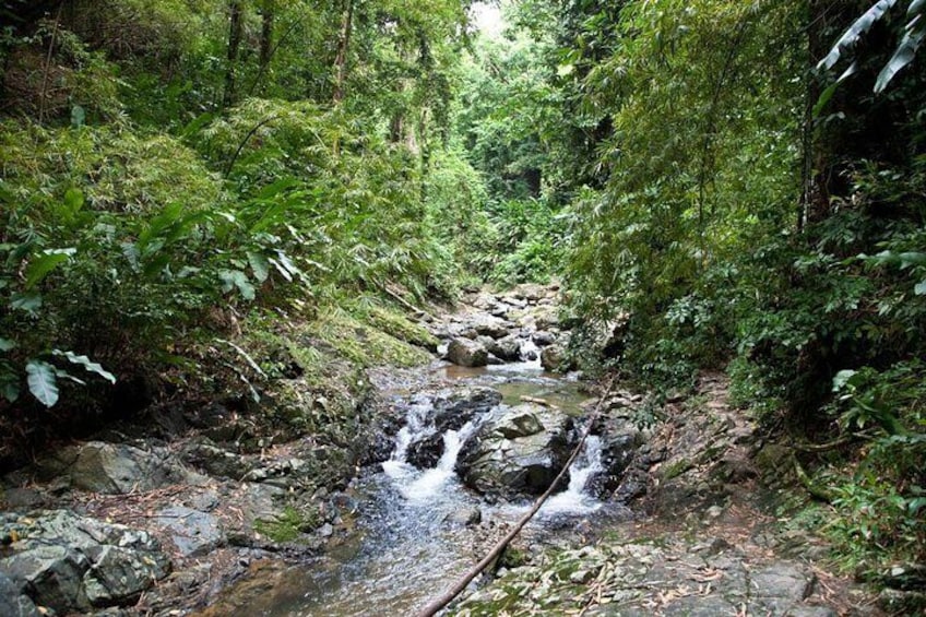 Argyle Waterfall with Adventure Farm