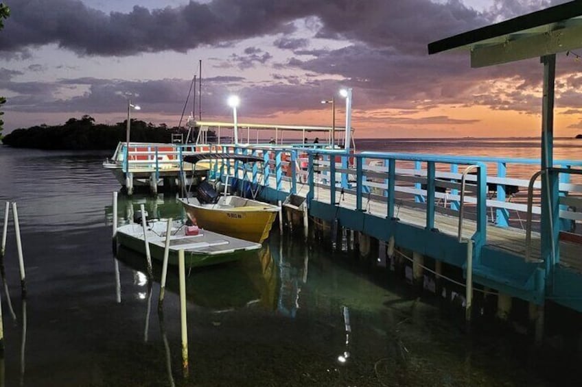 Bio Bay Boat Tour with Swimming from La Parguera, Puerto Rico