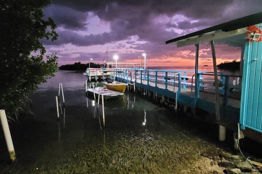 Bio Bay Boat Tour with Swimming from La Parguera, Puerto Rico