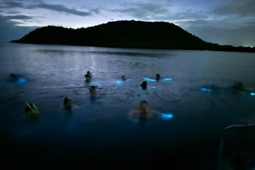 Bio Bay Swimming Experience with Boat Transport from La Parguera