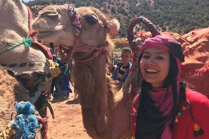 Imlil Valley Day Trip with Camel Ride