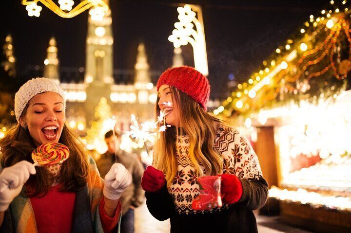 Magical Christmas Tour Around Vienna