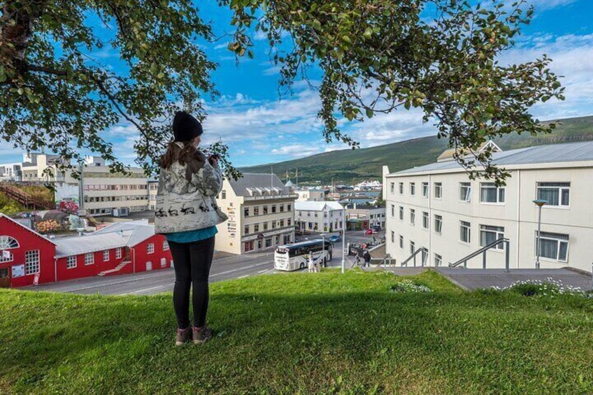 Revel in Reykjavik: Unveiling Iceland’s Charismatic Capital