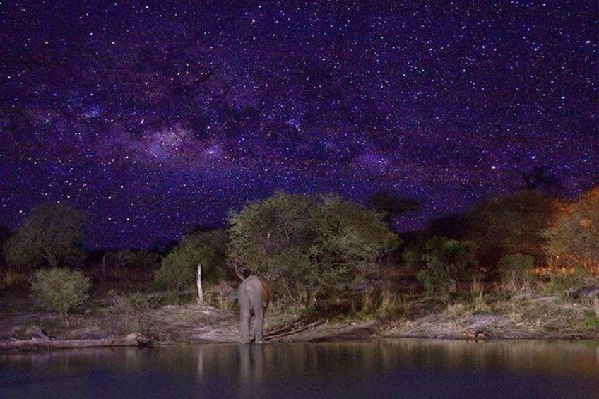 Show item 1 of 3. Stargazing on The Wilderness (Harare Night's Tour)