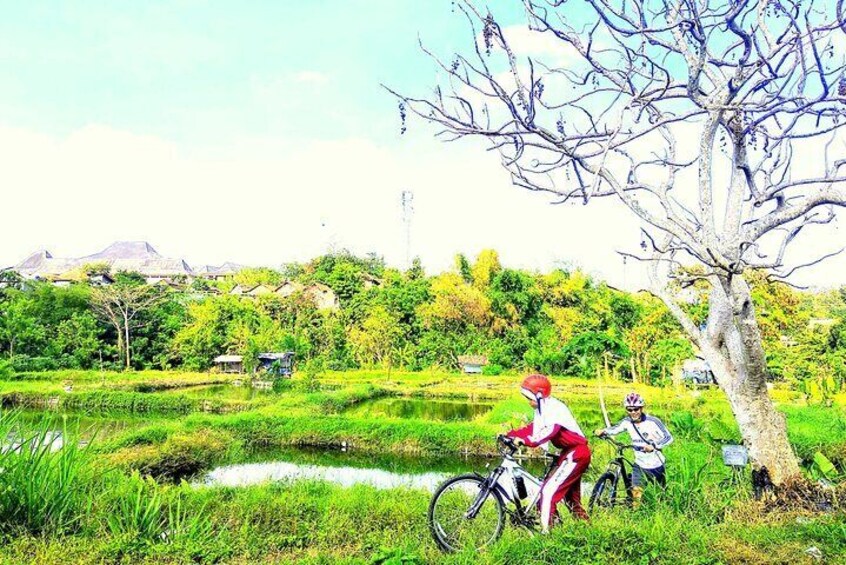 Cycling throwing villages,rice fields,and fish ponds far from crowd,makes us feel refresh.
