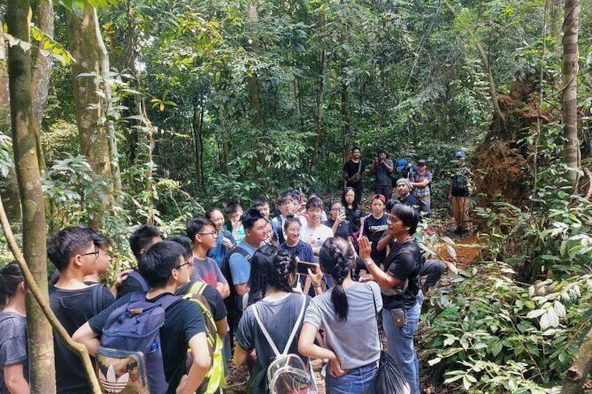 Day or Night Jungle Trekking with Sabarata, Bukit Lawang