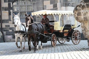 Dresden Historic Walking Tour & Treasury Visiting