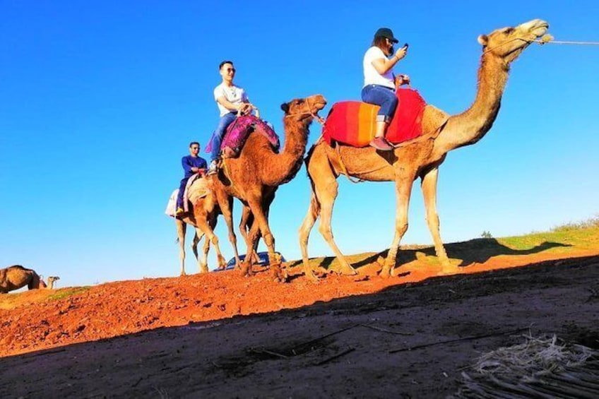 Show item 1 of 8. Day Trip: Waterfalls & Desert Agafay & Atlas Mountains & Camel ride