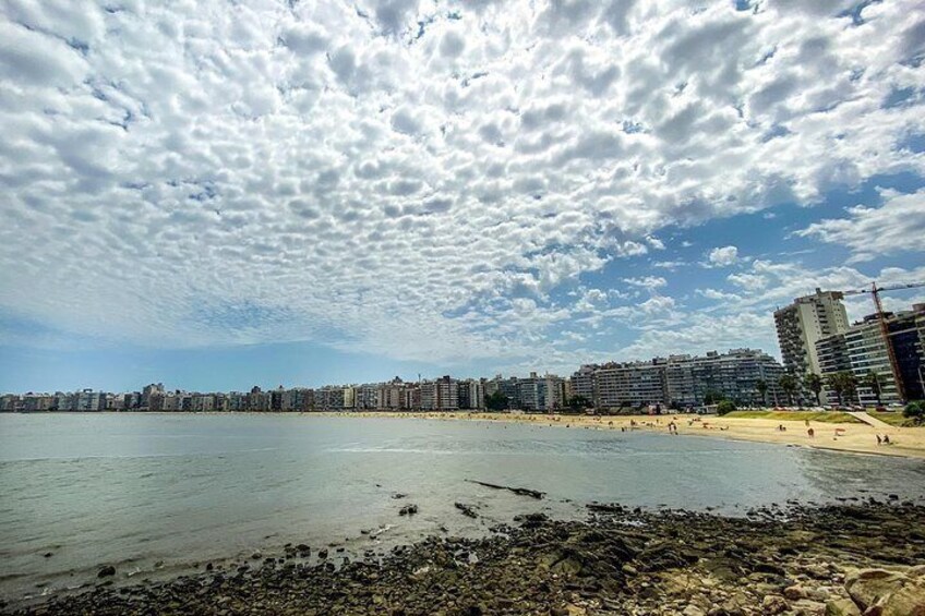 Discover Montevideo Private Tour with a Local