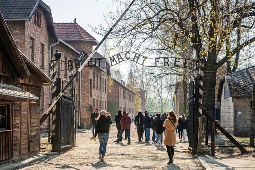 Auschwitz-Birkenau and Wieliczka Salt Mine guided ONE DAY TOUR