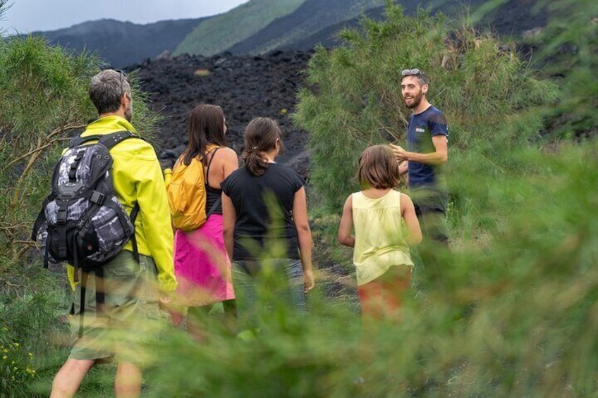 Mt. Etna nature and flavors half day Tour from Catania