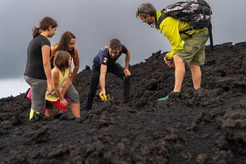 Mt Etna and Wine tasting tour from Catania