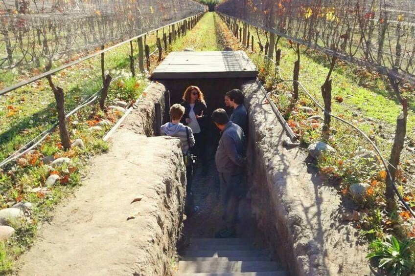 Bodega Kaiken Luján de Cuyo