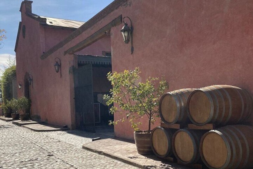 WINERIES DAY private tour Lujan & Maipu