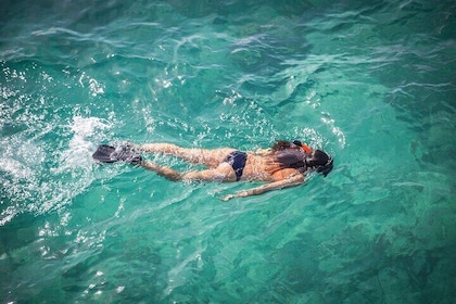 Small-Group Cruising and Snorkelling Catamaran Tour