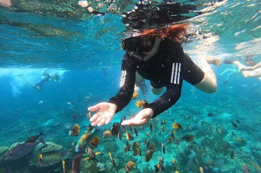 blue lagoon snorkeling