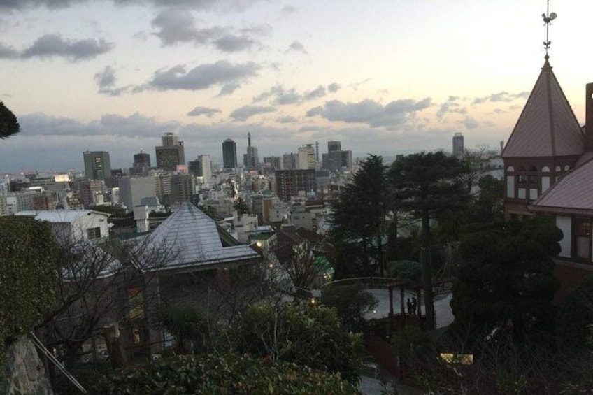 Full-Day Private Guided Tour to Kobe City